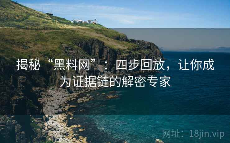 揭秘“黑料网”：四步回放，让你成为证据链的解密专家