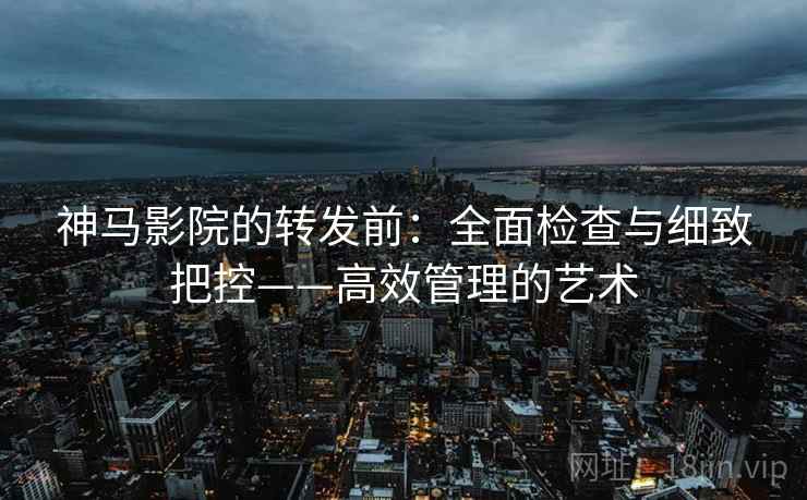 神马影院的转发前:全面检查与细致把控——高效管理的艺术 神马影院的转发前:全面检查与细致把控——高效管理的艺术