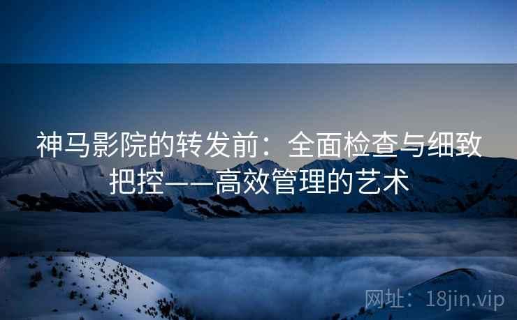 神马影院的转发前:全面检查与细致把控——高效管理的艺术 神马影院的转发前:全面检查与细致把控——高效管理的艺术
